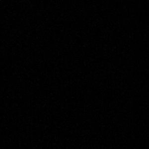 Meet your Posher, Jessie